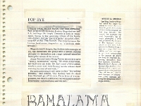 ANGRY SAMOANS Metal Mike Scrapbook 1980 – P.J. Galligan on Lead Guitar Page 16